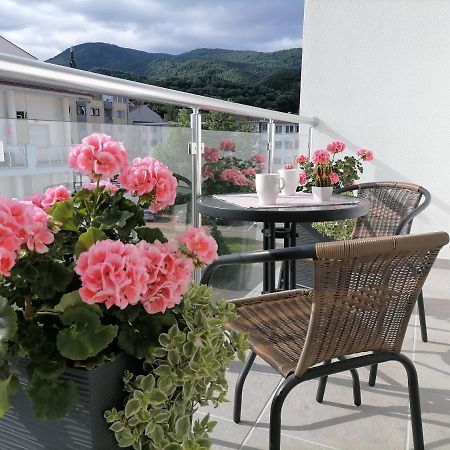 Appartement Svjetlanalex 2 à Banja Koviljača Extérieur photo