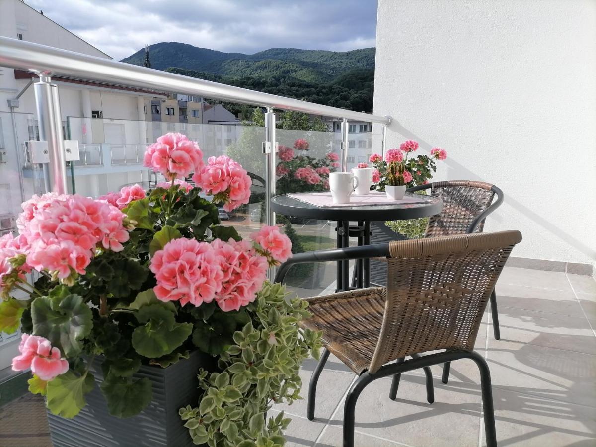Appartement Svjetlanalex 2 à Banja Koviljača Extérieur photo