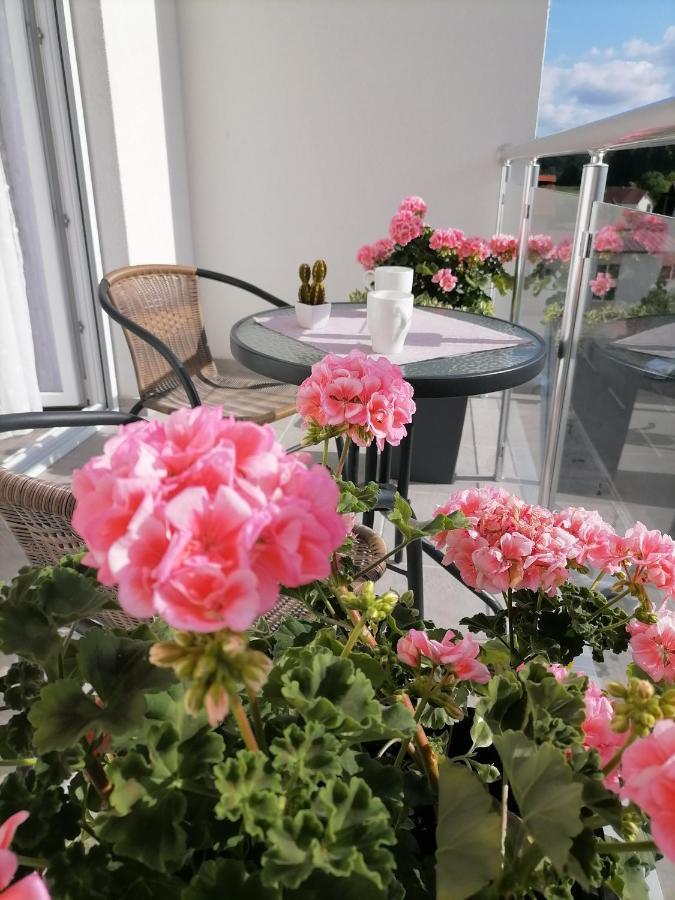 Appartement Svjetlanalex 2 à Banja Koviljača Extérieur photo